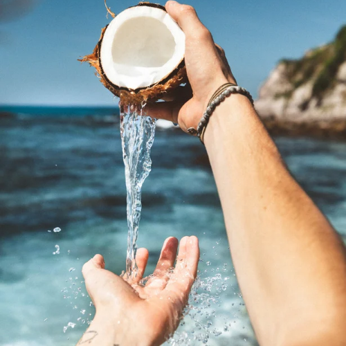 Harmless Harvest Coconut Water